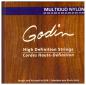 Preview: Godin Multioud Strings